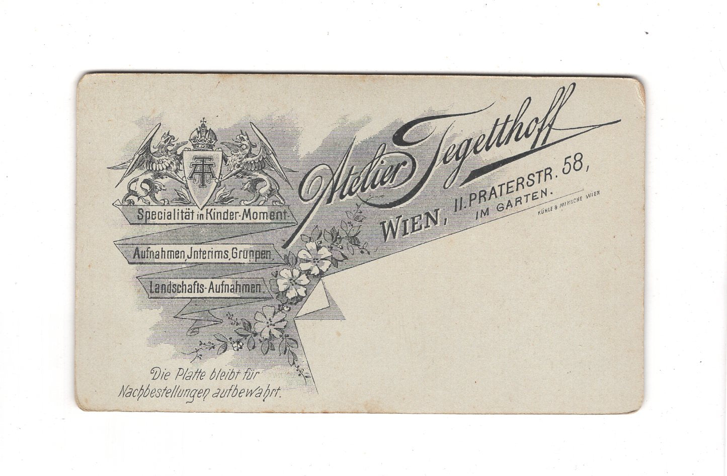 Fotografie Herrenportrait - Wien 1900er / CDV C1-19