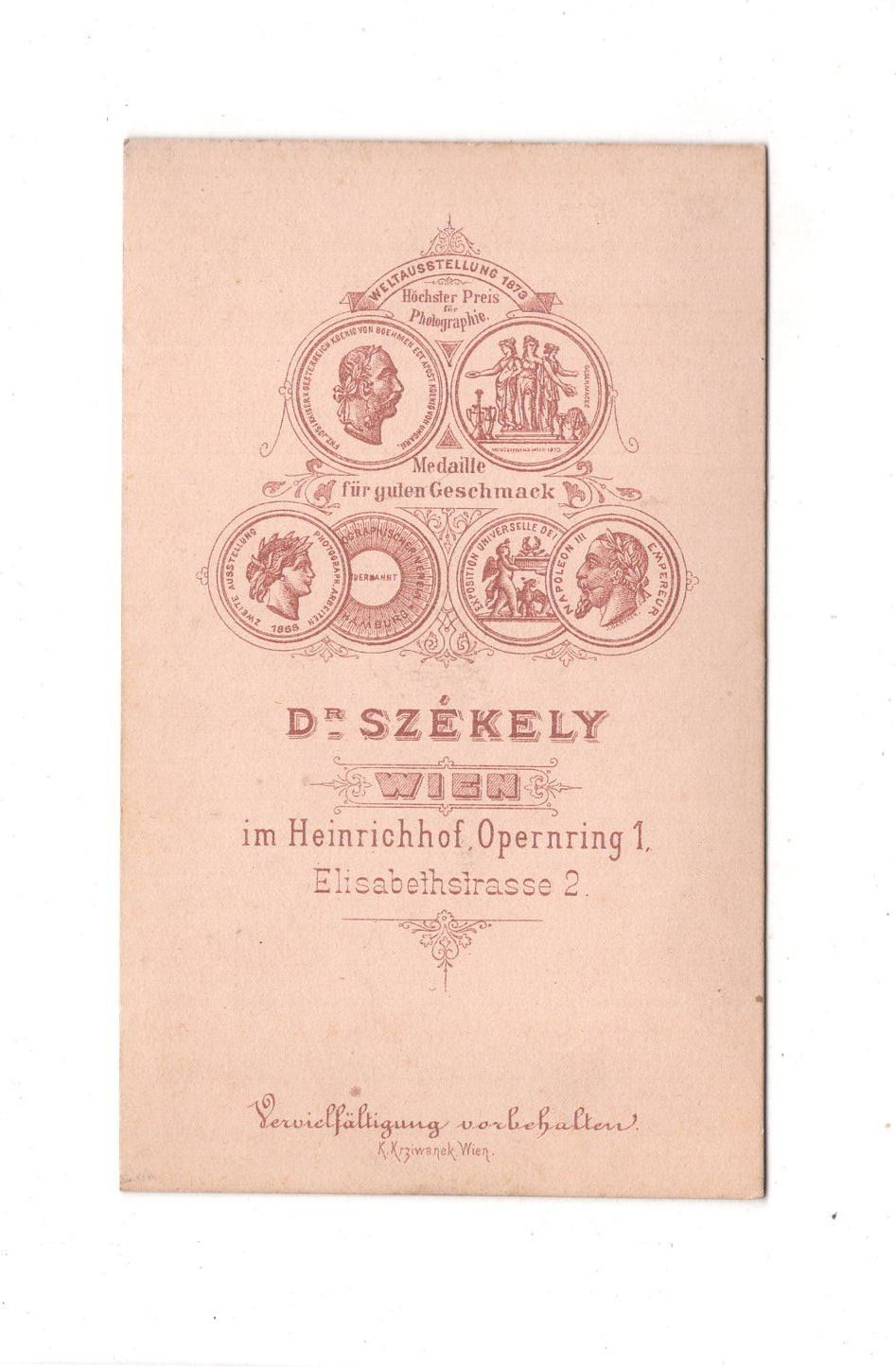 Fotografie Herrenportrait - Wien um 1880 / CDV C1-19