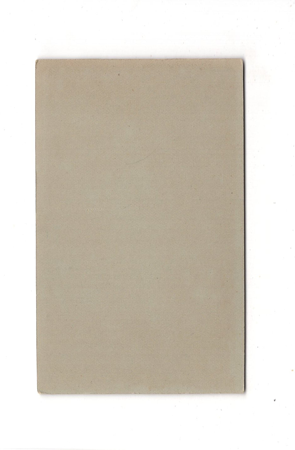 Fotografie Damenportrait - Cottbus 1890er / CDV C1-01