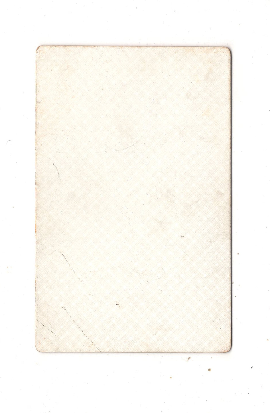 Fotografie Feine Dame - Hildesheim 1870er