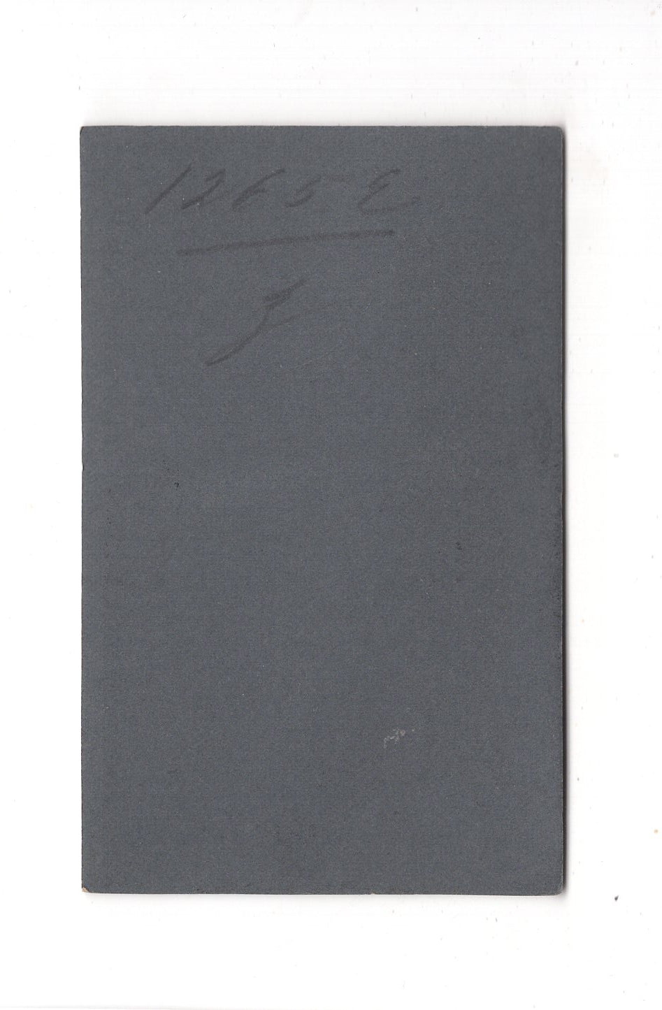 Fotografie Damenportrait - Basel um 1900 / CDV C1-01