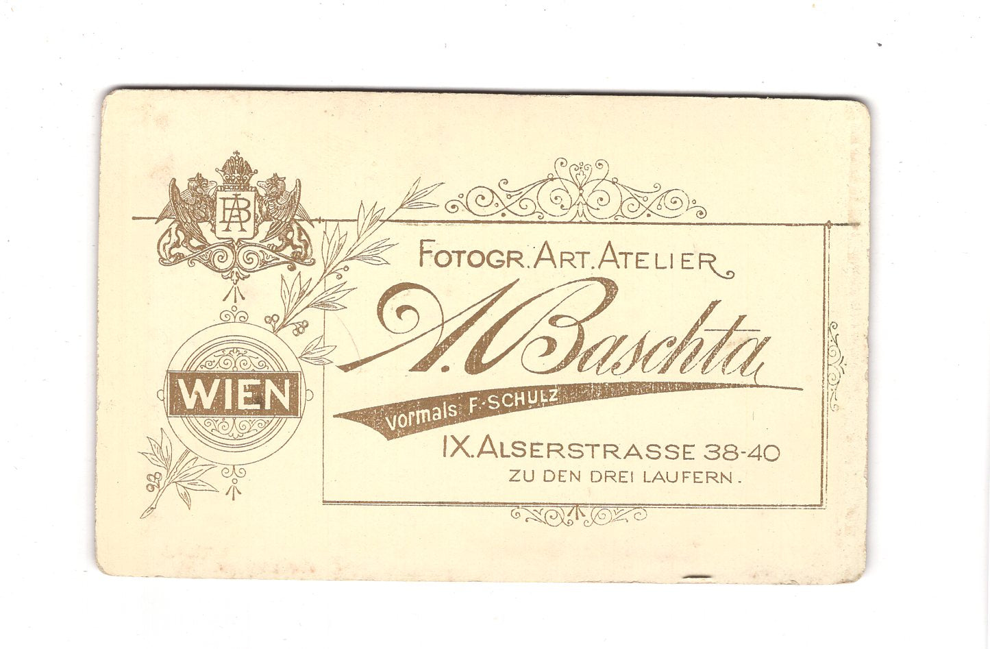 Fotografie Damenportrait - Wien 1880er / CDV C1-01