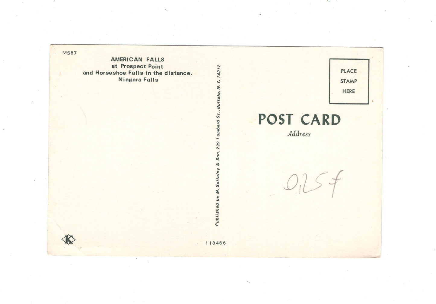 Ansichtskarte American Falls / Niagara Falls / USA