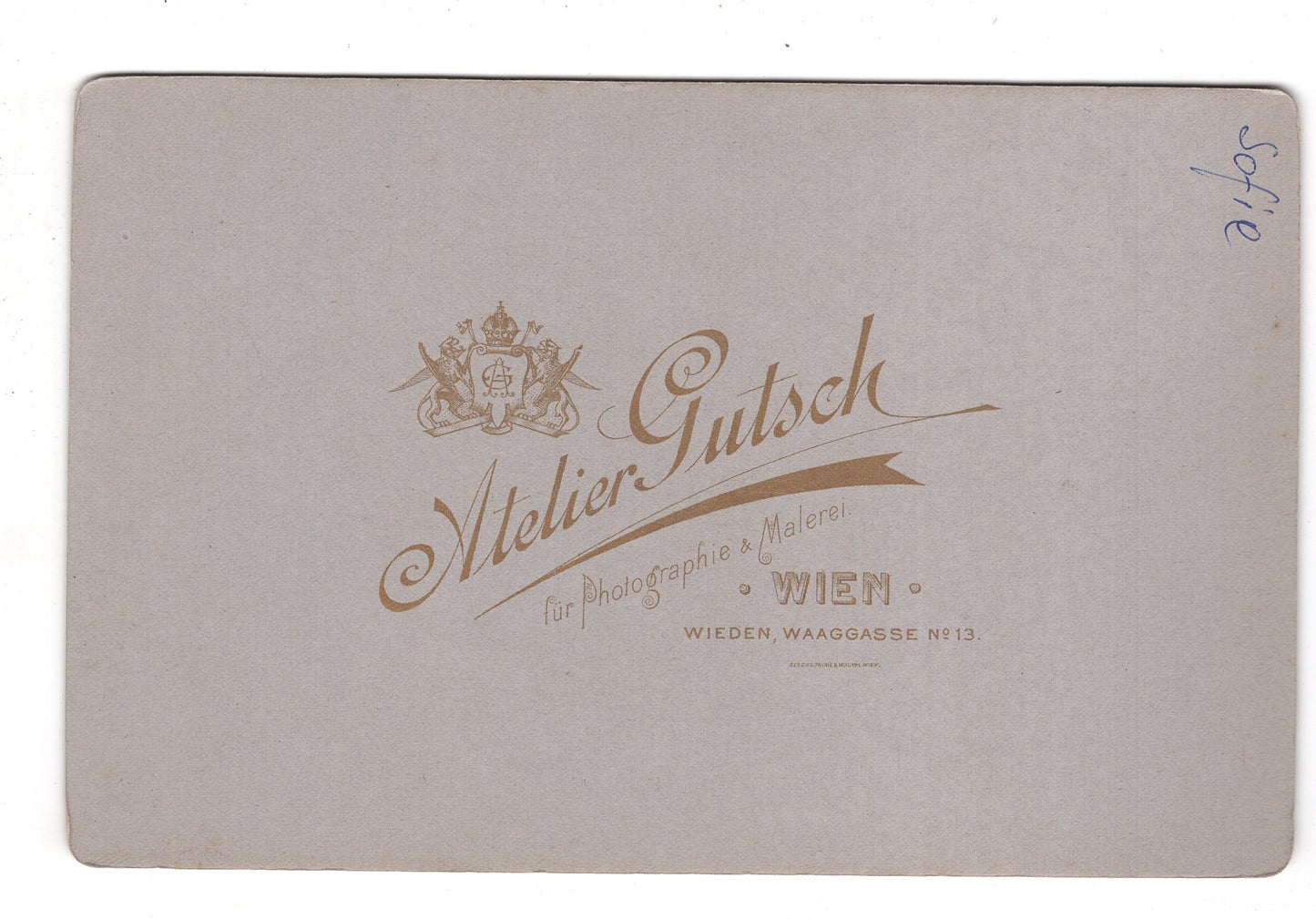 Fotografie Feine Dame - Wien 1890er / CAB W-19