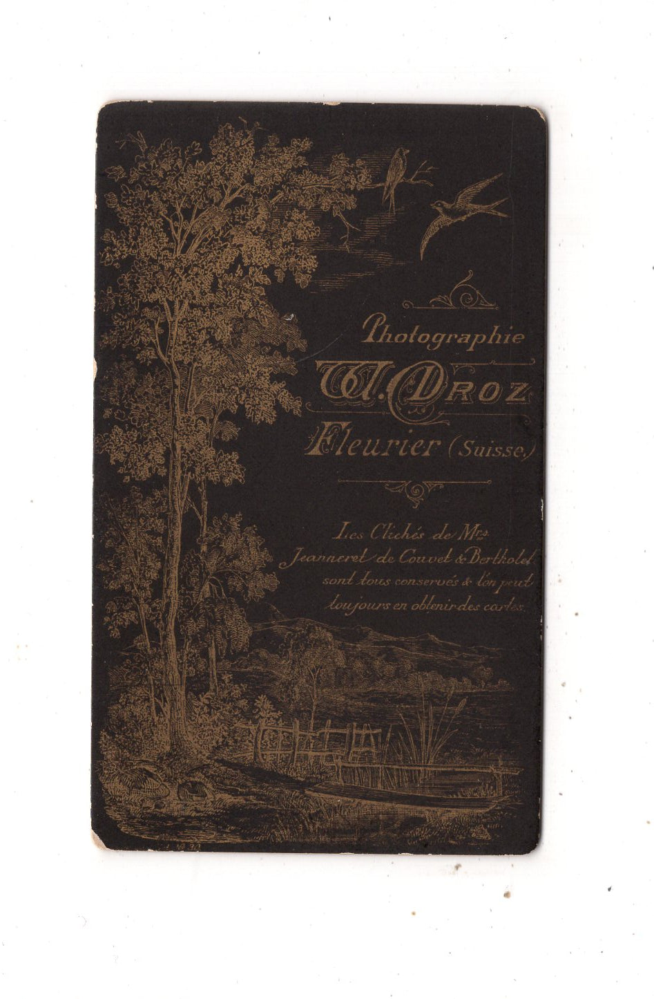 Fotografie Damenportrait - Fleurier / Schweiz 1880er / CDV N1-11