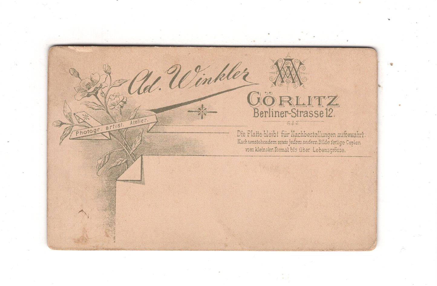 Fotografie Damenportrait - Görlitz 1890er / CDV N1-11