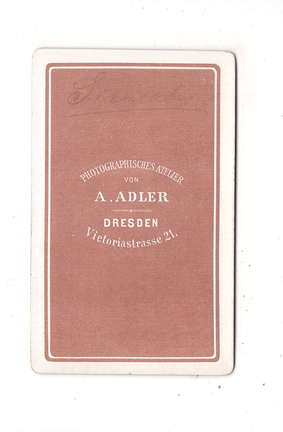 Fotografie Niedliche kleine Jungen - Dresden um 1880