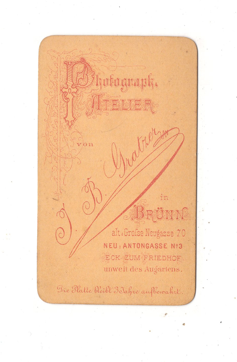 Fotografie Damenportrait - Brno Brünn 1870er / CDV N1-11