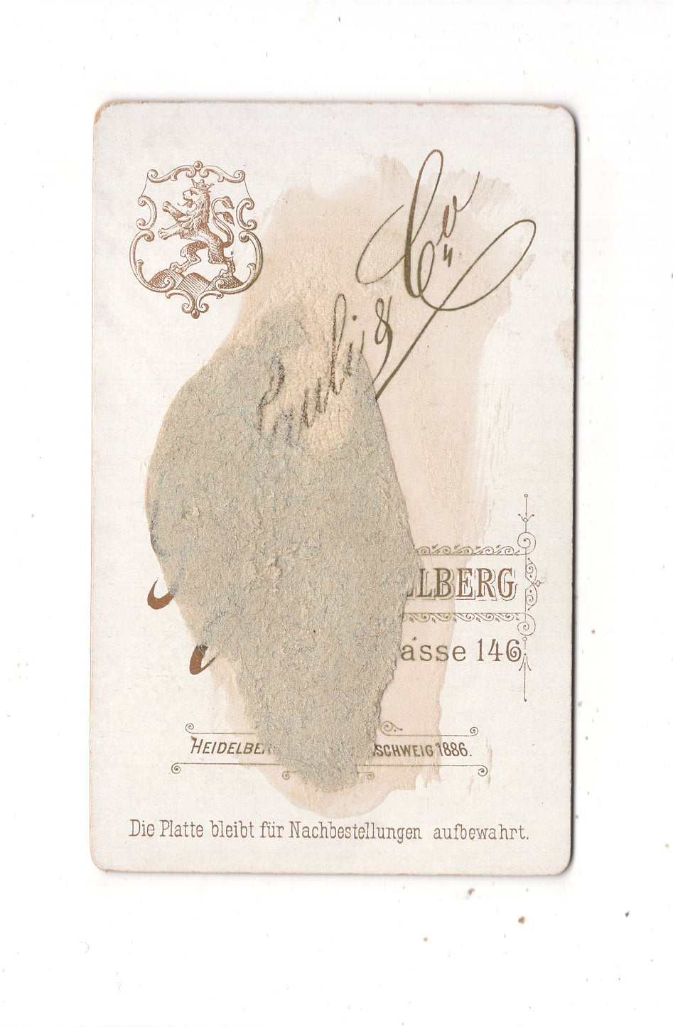 Fotografie Damenportrait - Heidelberg 1880er / CDV N1-11