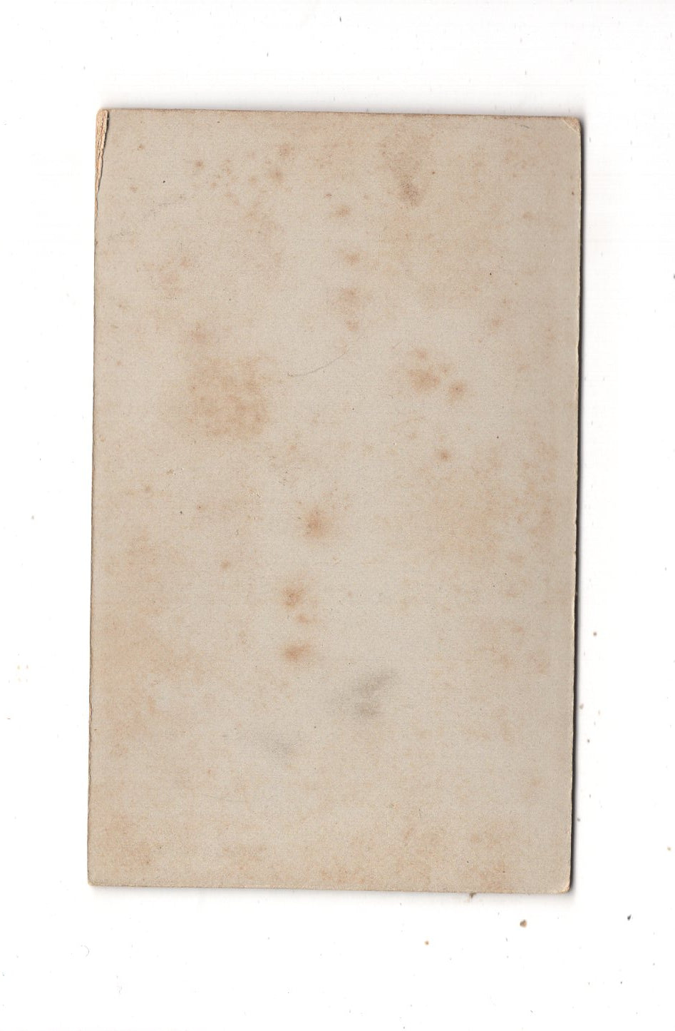 Fotografie Damenportrait - Stadtoldendorf 1890er / CDV N1-11