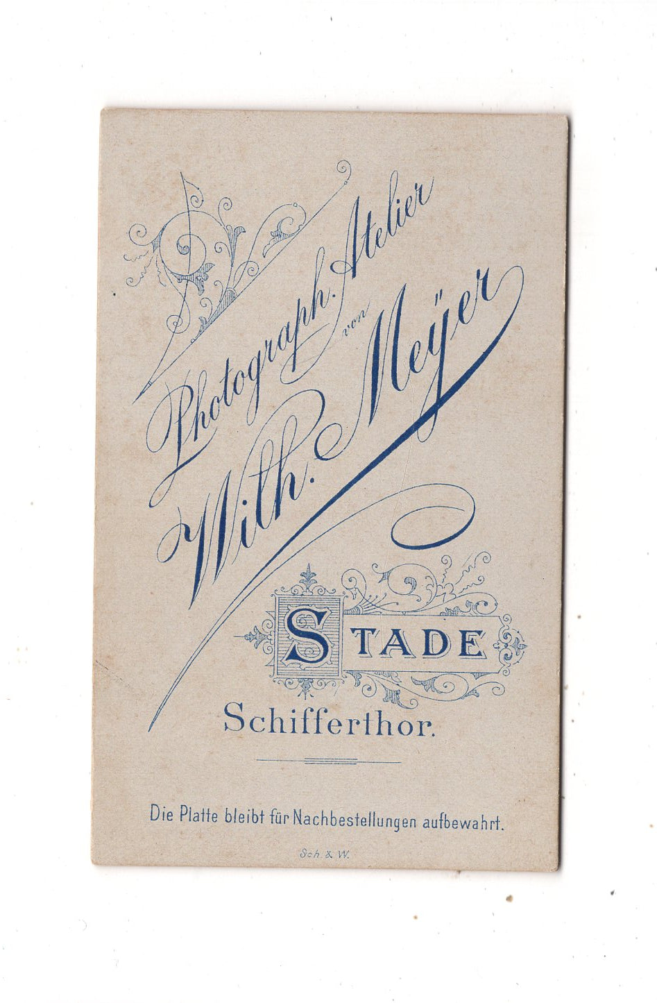 Fotografie Damenportrait - Stade um 1890 / CDV N1-11