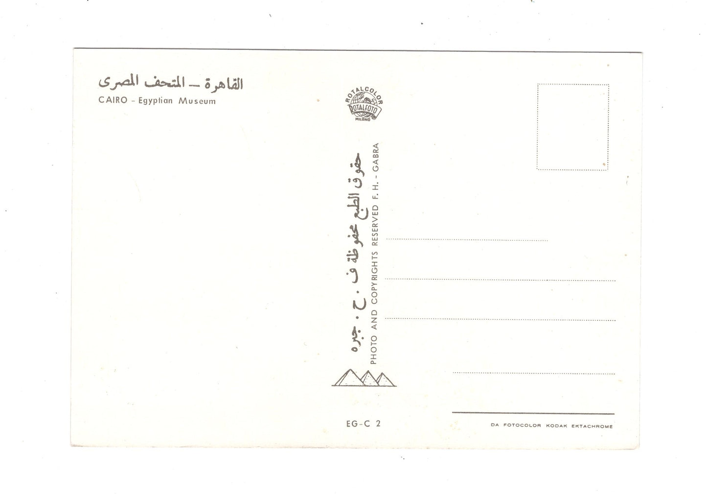 Ansichtskarte Kairo / Ägyptisches Museum / Ägypten