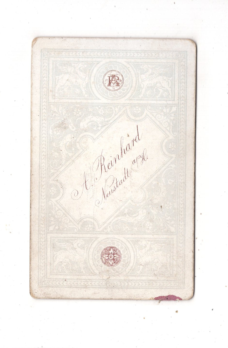 Fotografie Feine Dame - Neustadt a. H. 1880er