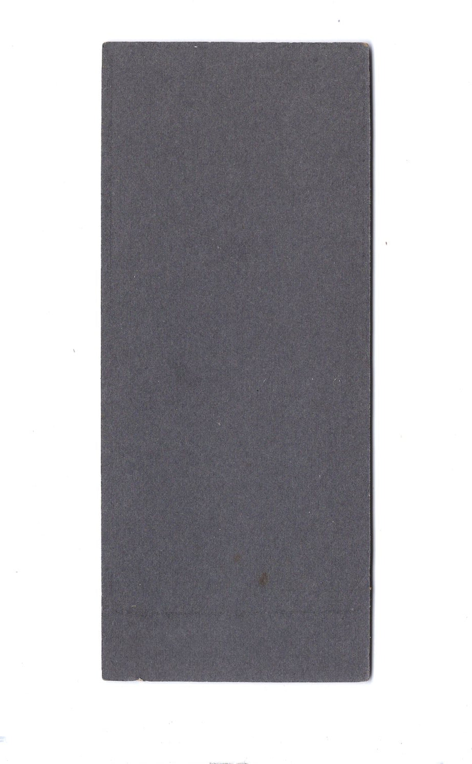 Fotografie Feiner Herr / Jäger mit Gewehr und Hund - Blankenburg / Harz 1900er