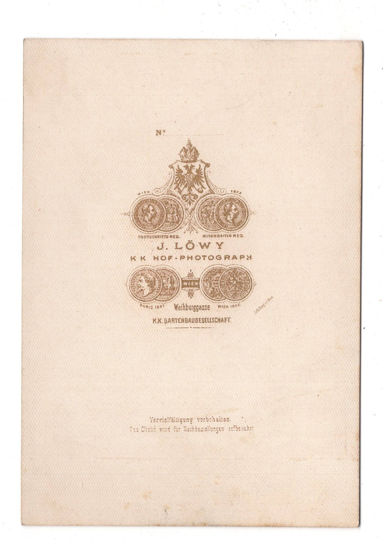 Fotografie Feine Dame - Wien 1870er / CAB W-20