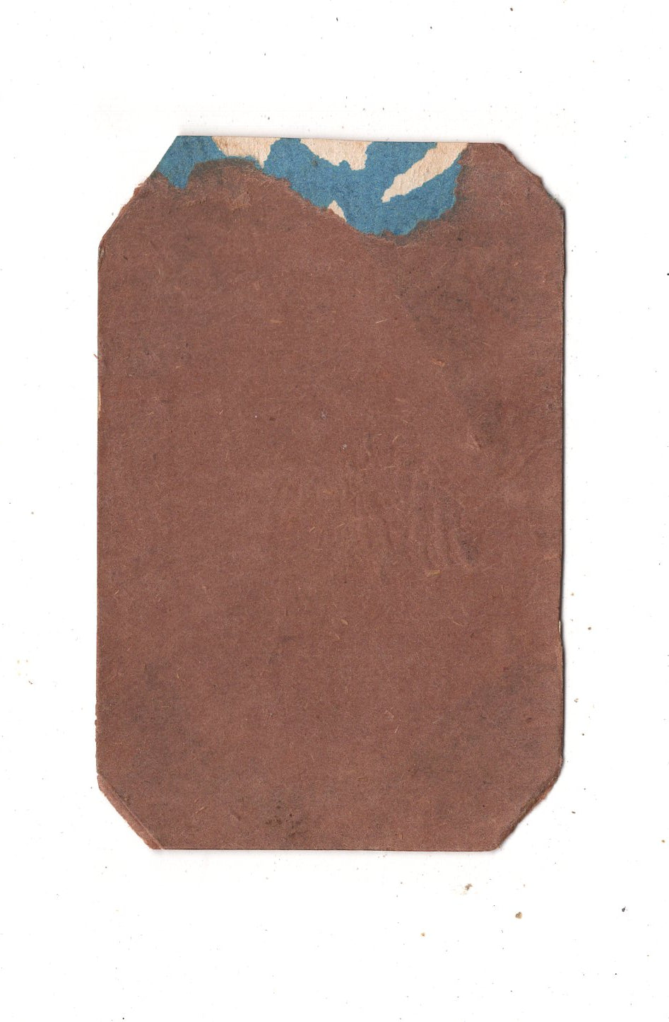 Fotografie Feine Dame - unbekannter Ort 1870er