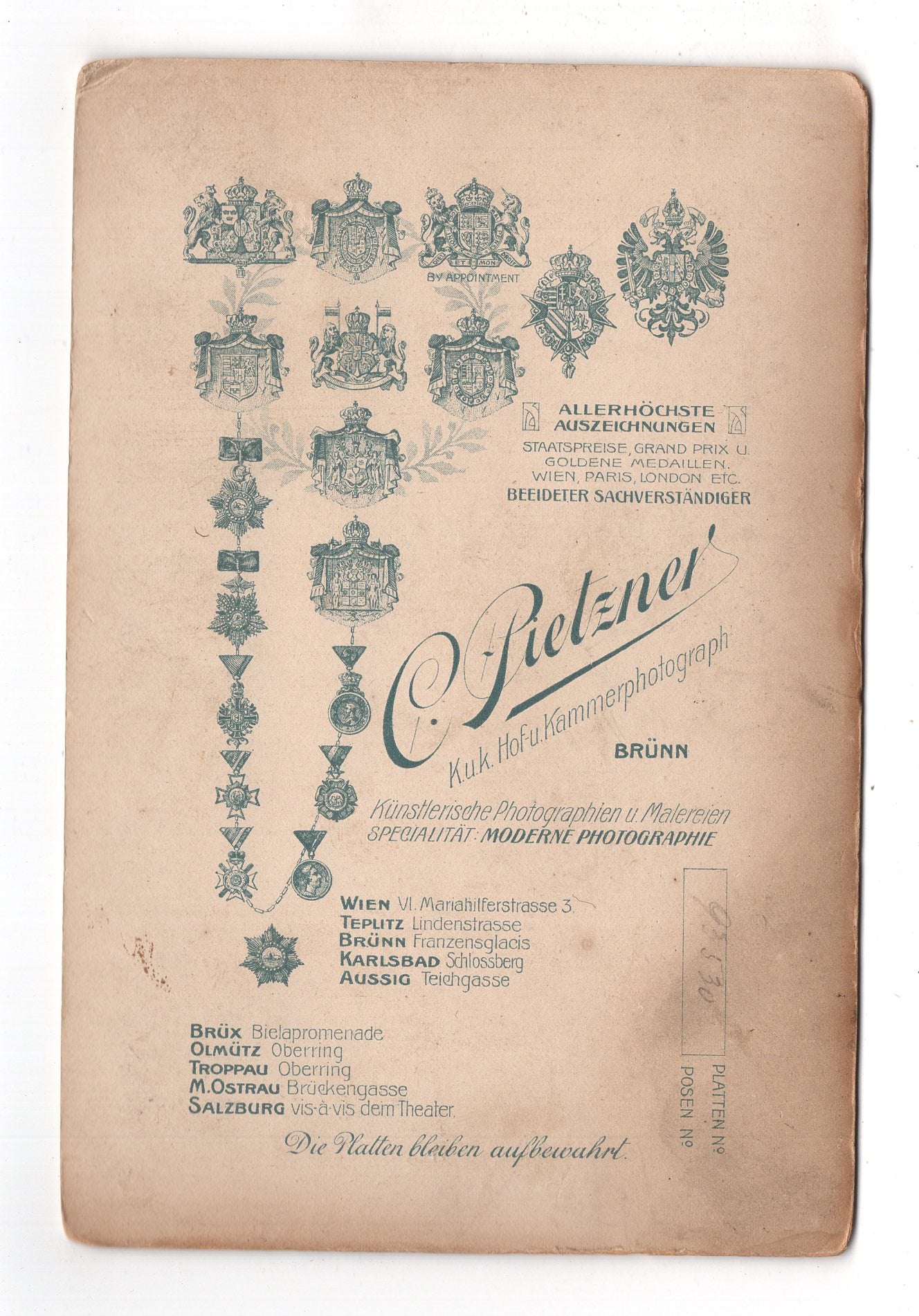 Fotografie Feine Dame - Brno Brünn um 1900 / CAB W-20
