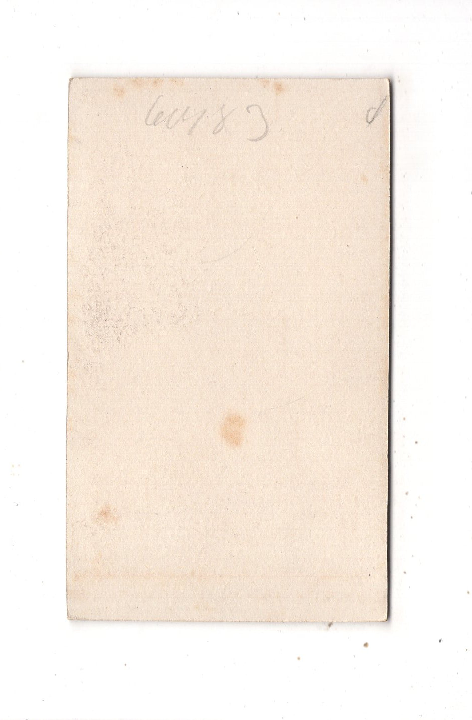 Fotografie Feiner Junge - Berlin 1890er