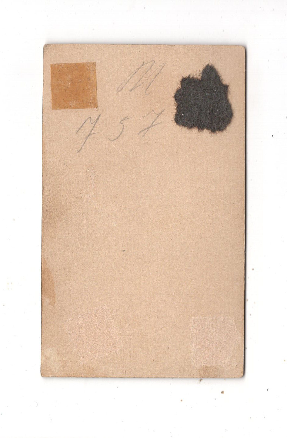 Fotografie Damenportrait - Elberfeld 1890er / CDV N1-12