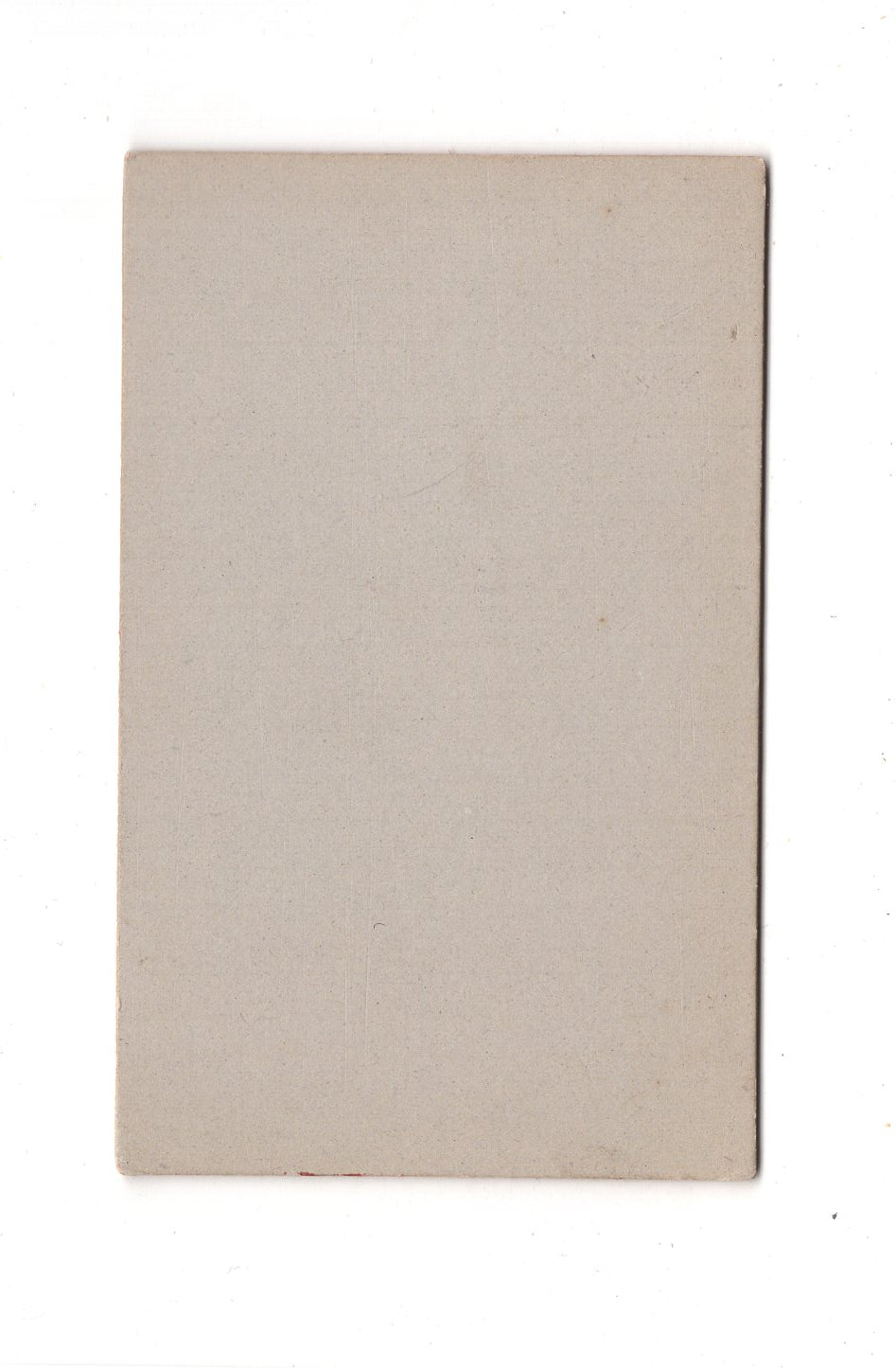 Fotografie Damenportrait - Berlin 1890er / CDV C1-02