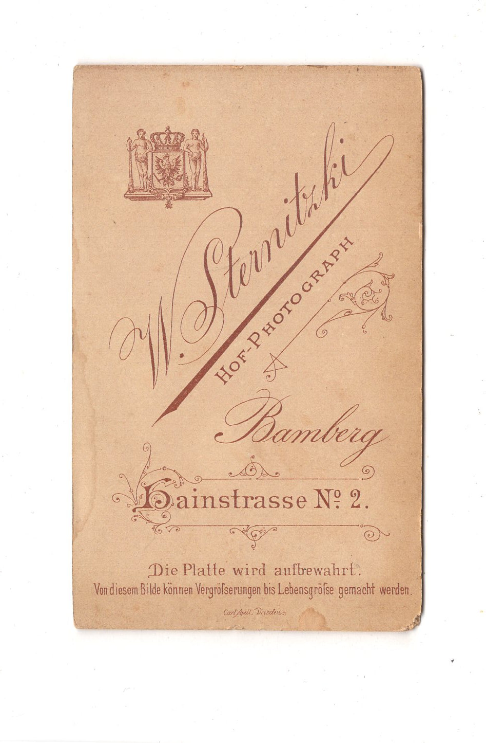 Fotografie Damenportrait - Bamberg 1890er / CDV C1-02