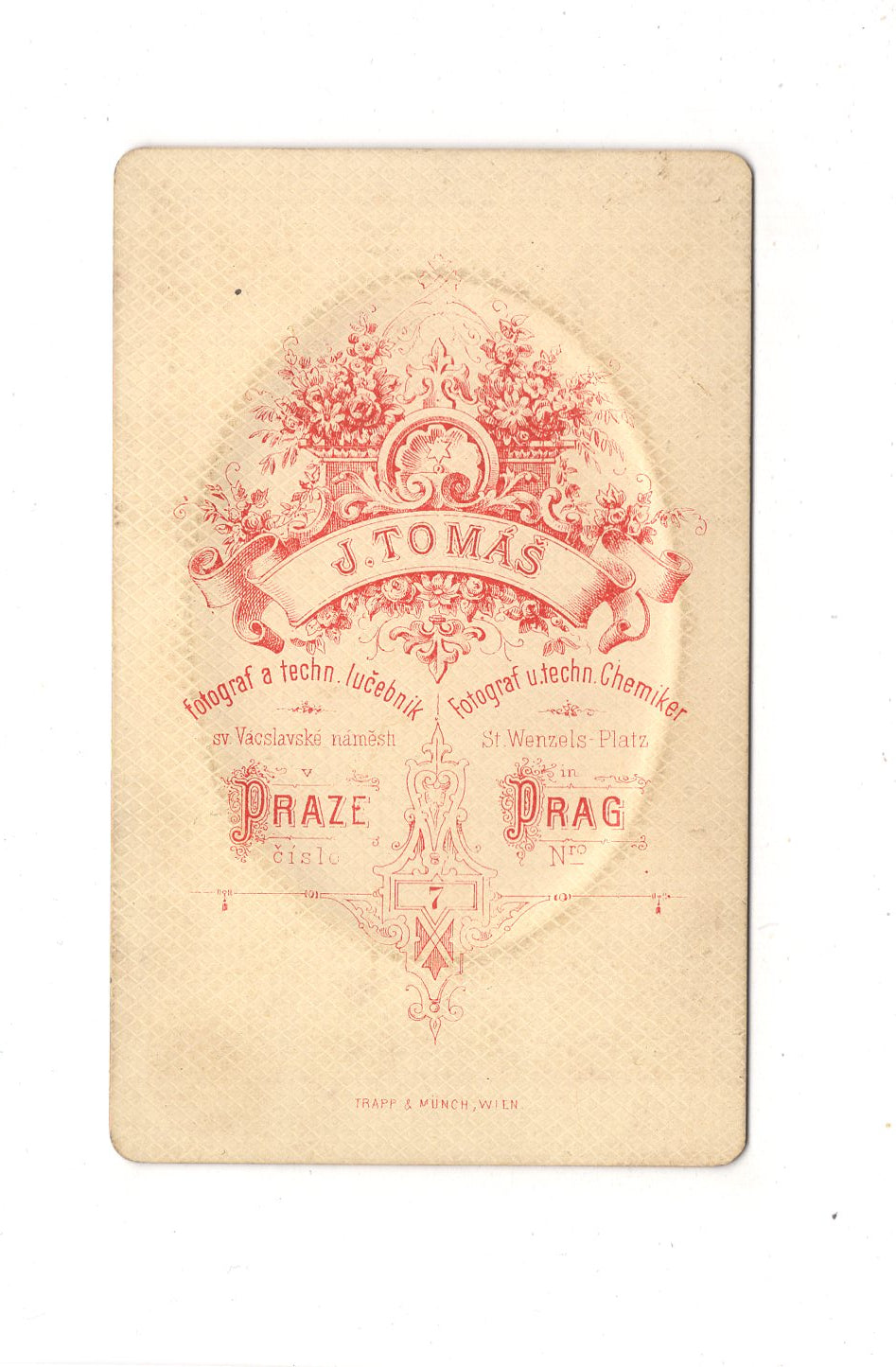 Fotografie Damenportrait - Prag 1870er / CDV C1-02