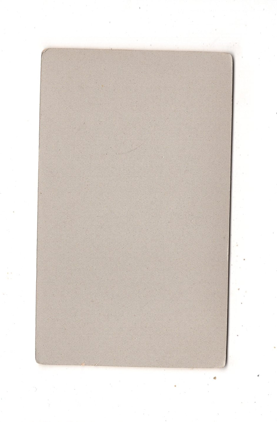 Fotografie Damenportrait - Frankfurt Main um 1900 / CDV N1-12