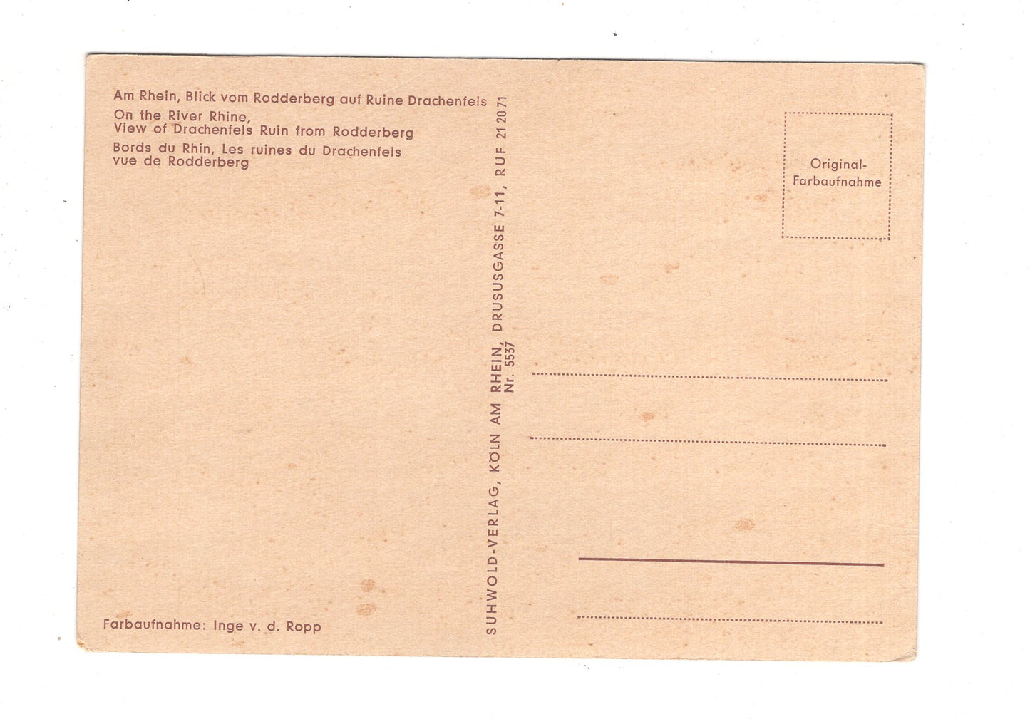 Ansichtskarte Am Rhein / Blick vom Rodderberg auf Ruine Drachenfels / M1-63