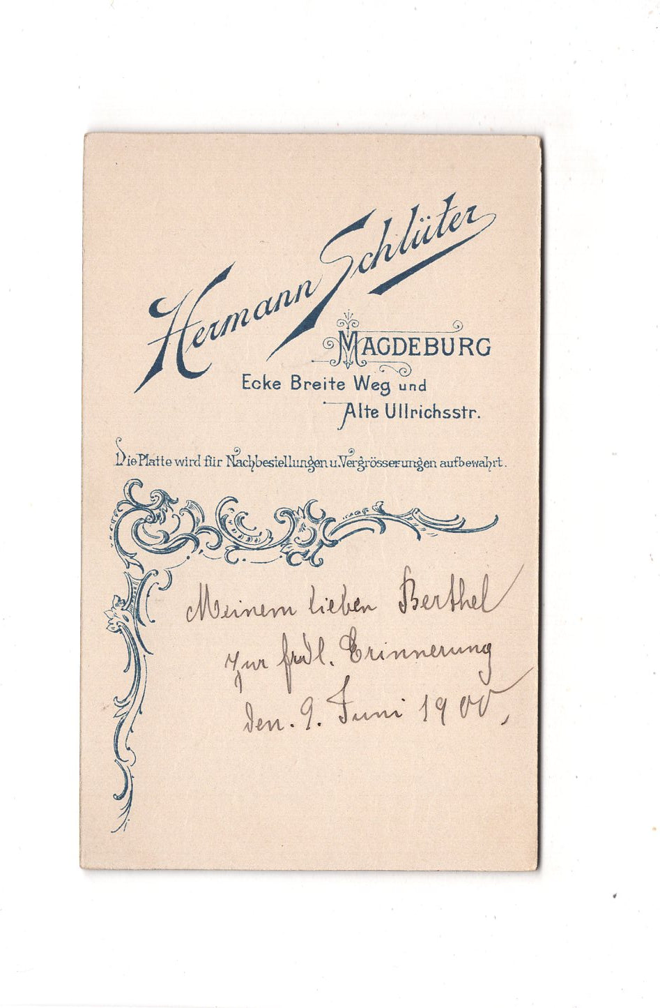 Fotografie Damenportrait mit Widmung - Magdeburg 1900 / CDV C1-03