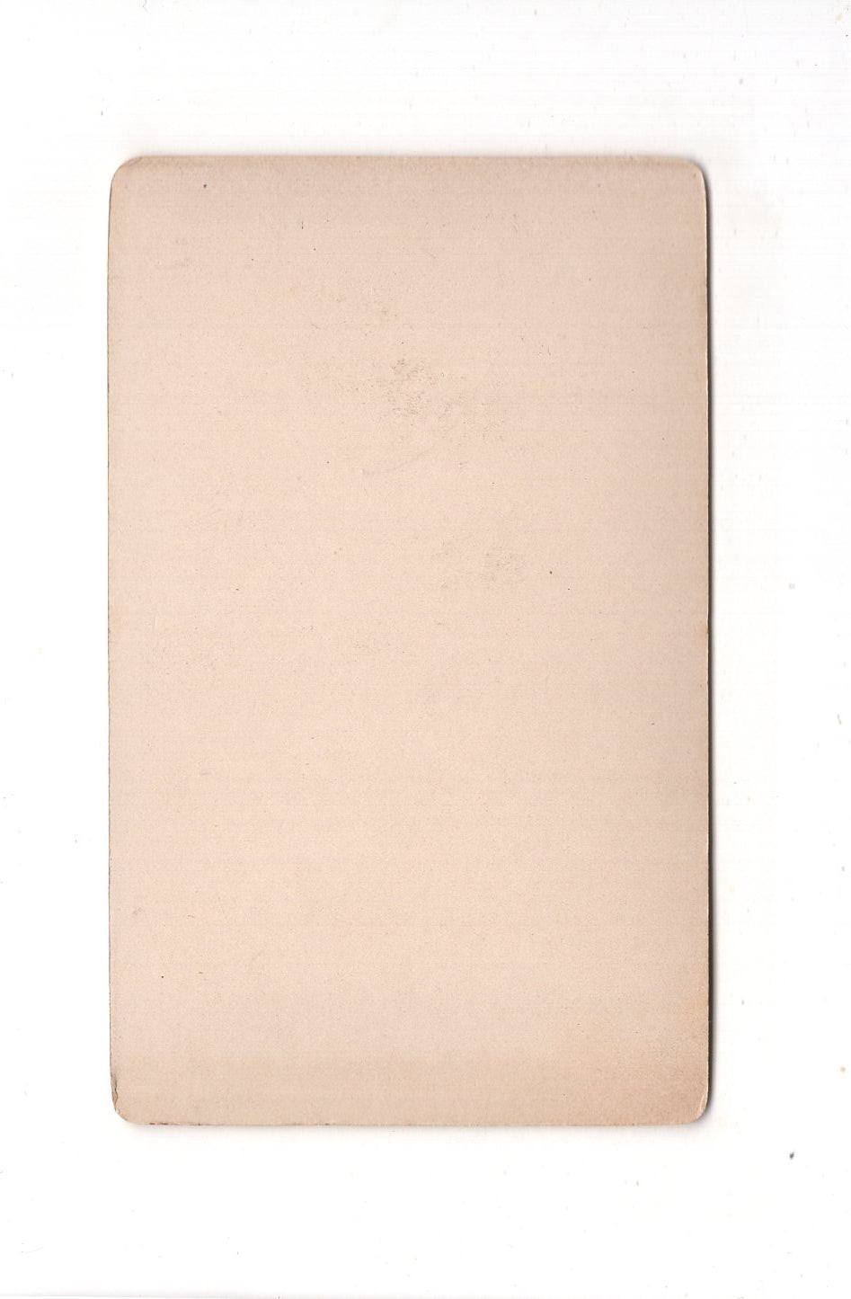 Fotografie Damenportrait - Hamburg-Harburg um 1890 / CDV C1-03