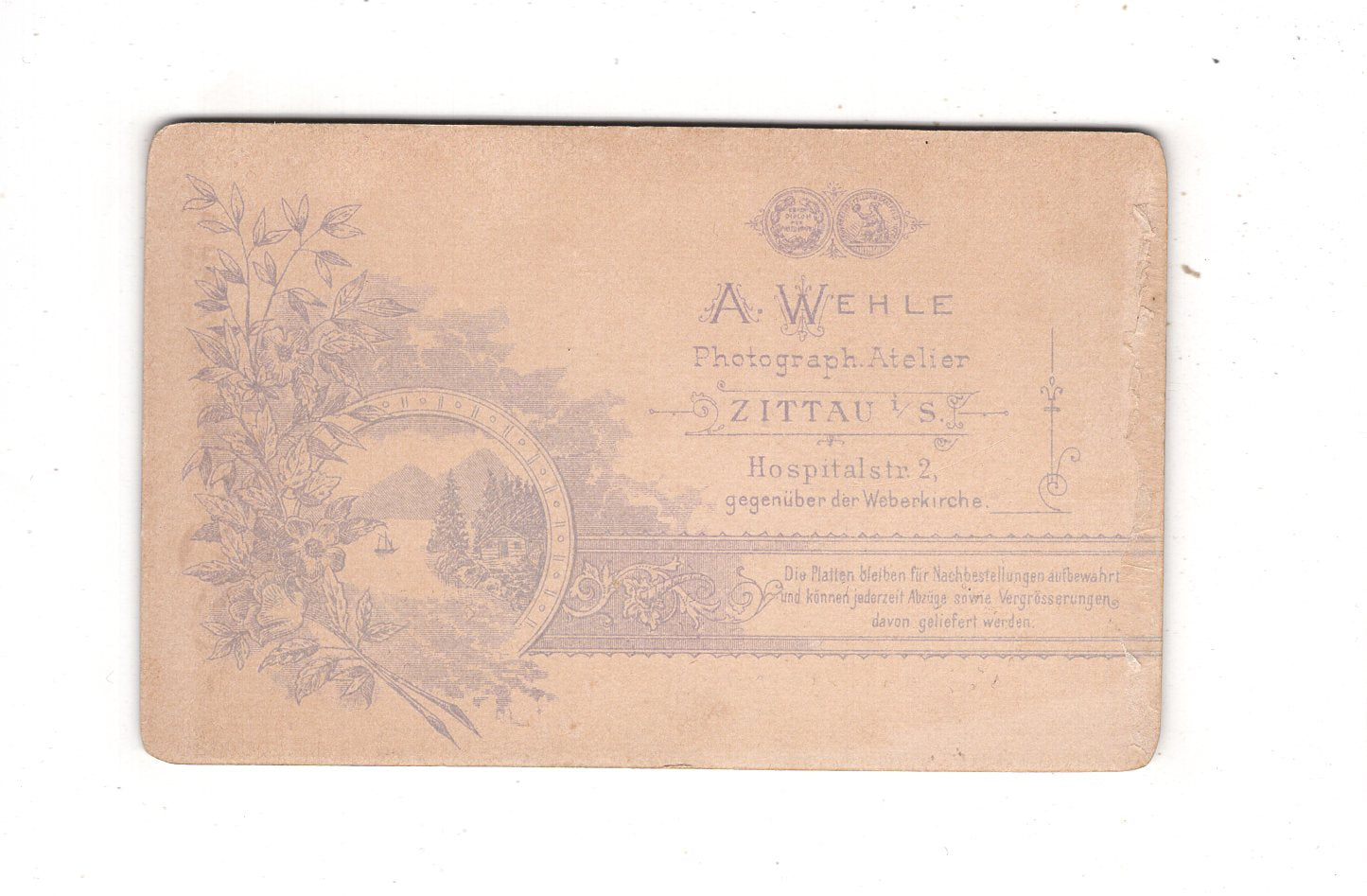 Fotografie Feiner Junge - Zittau um 1900 / CDV M1-26