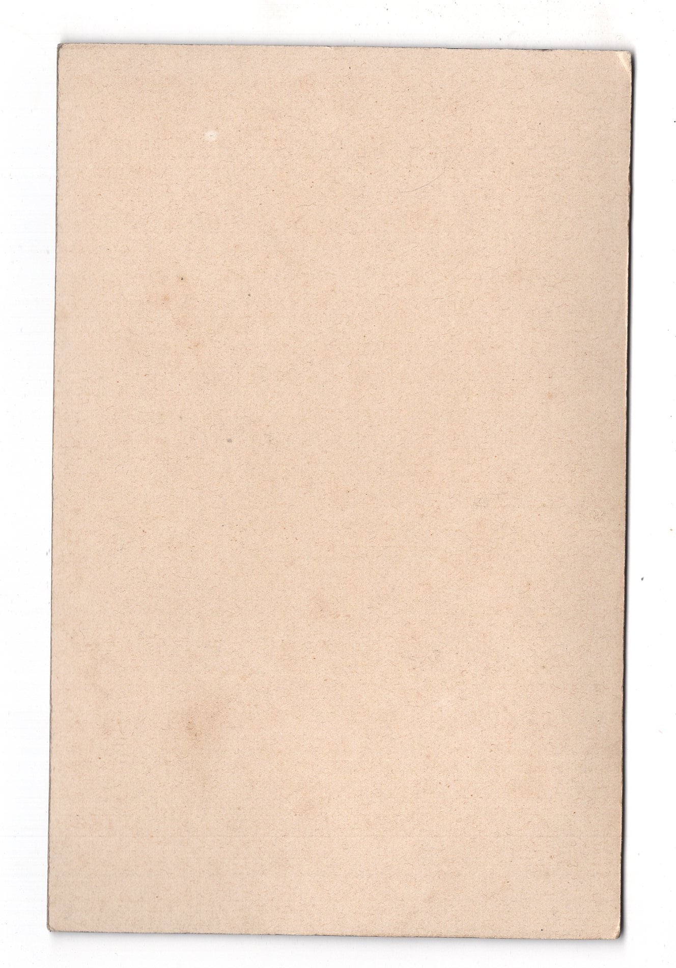 Fotografie Feine Dame - Hameln 1900er / CAB W-22