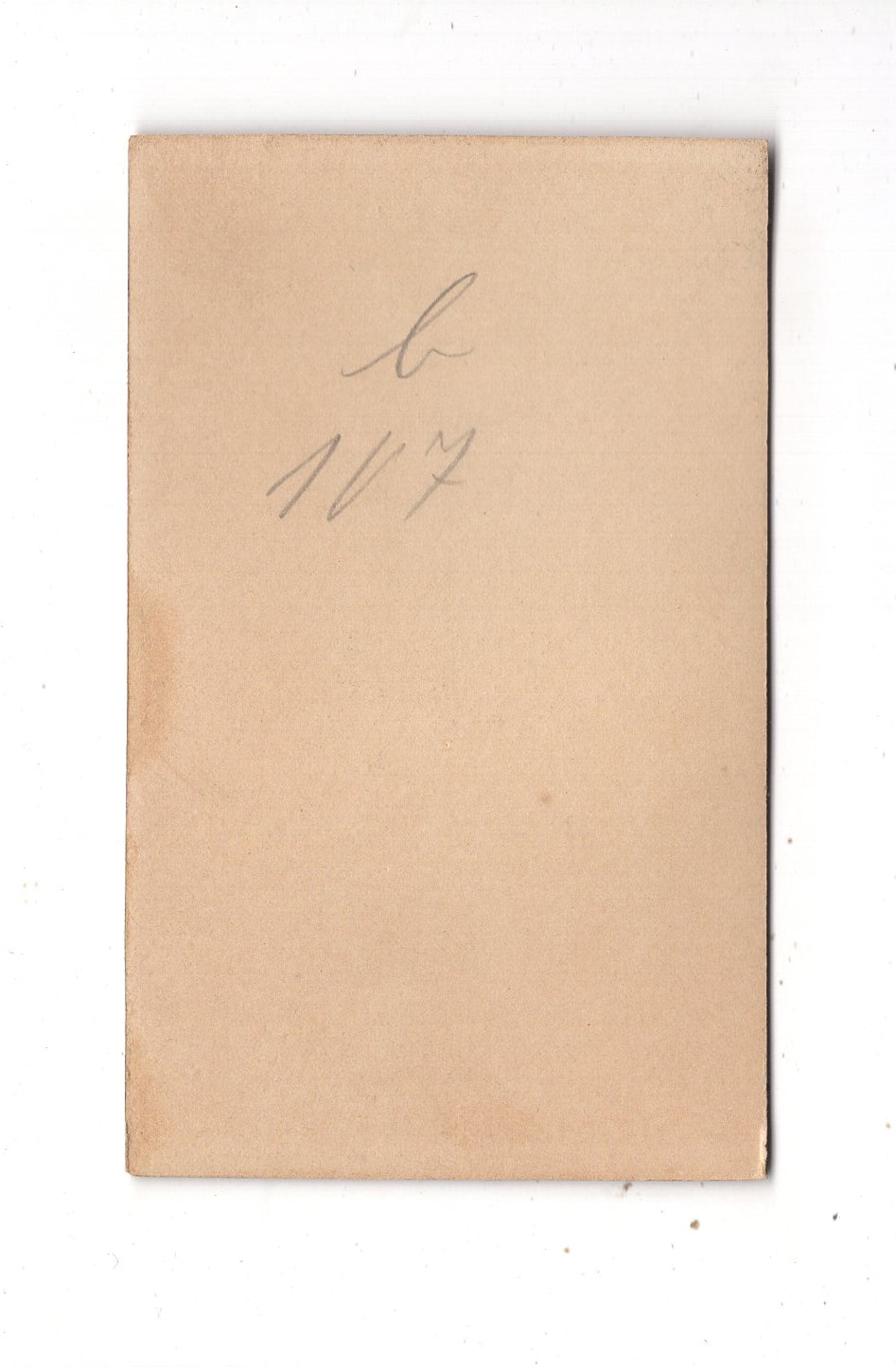 Fotografie Damenportrait - Elberfeld 1890er / CDV N1-13