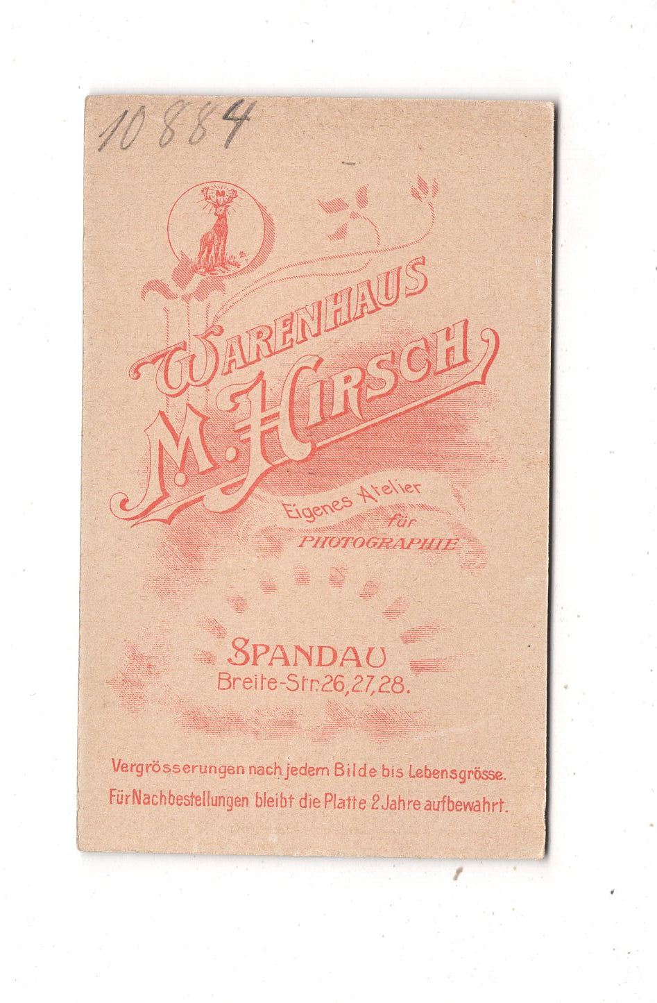 Fotografie Feiner Junge - Spandau 1890er / CDV M1-26