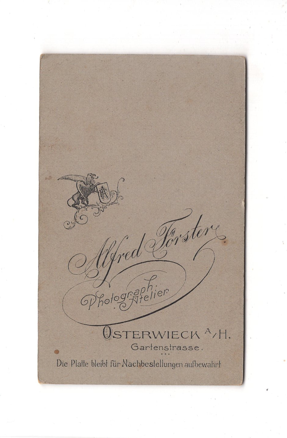 Fotografie Damenportrait - Osterwieck in Holstein 1900er / CDV C1-03