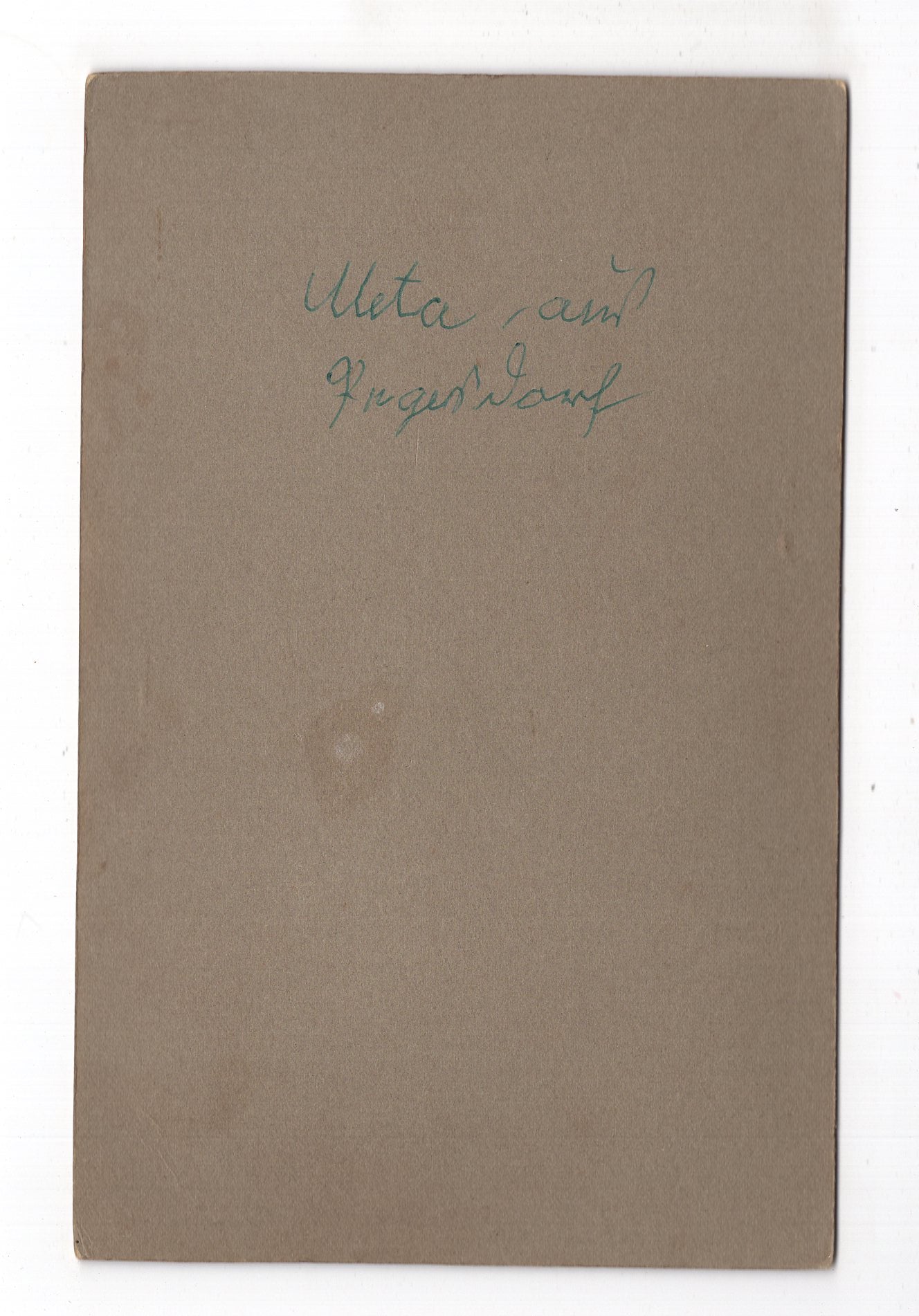 Fotografie Feine Dame beim Spaziergang - unbekannter Ort 1910er / CAB W-23