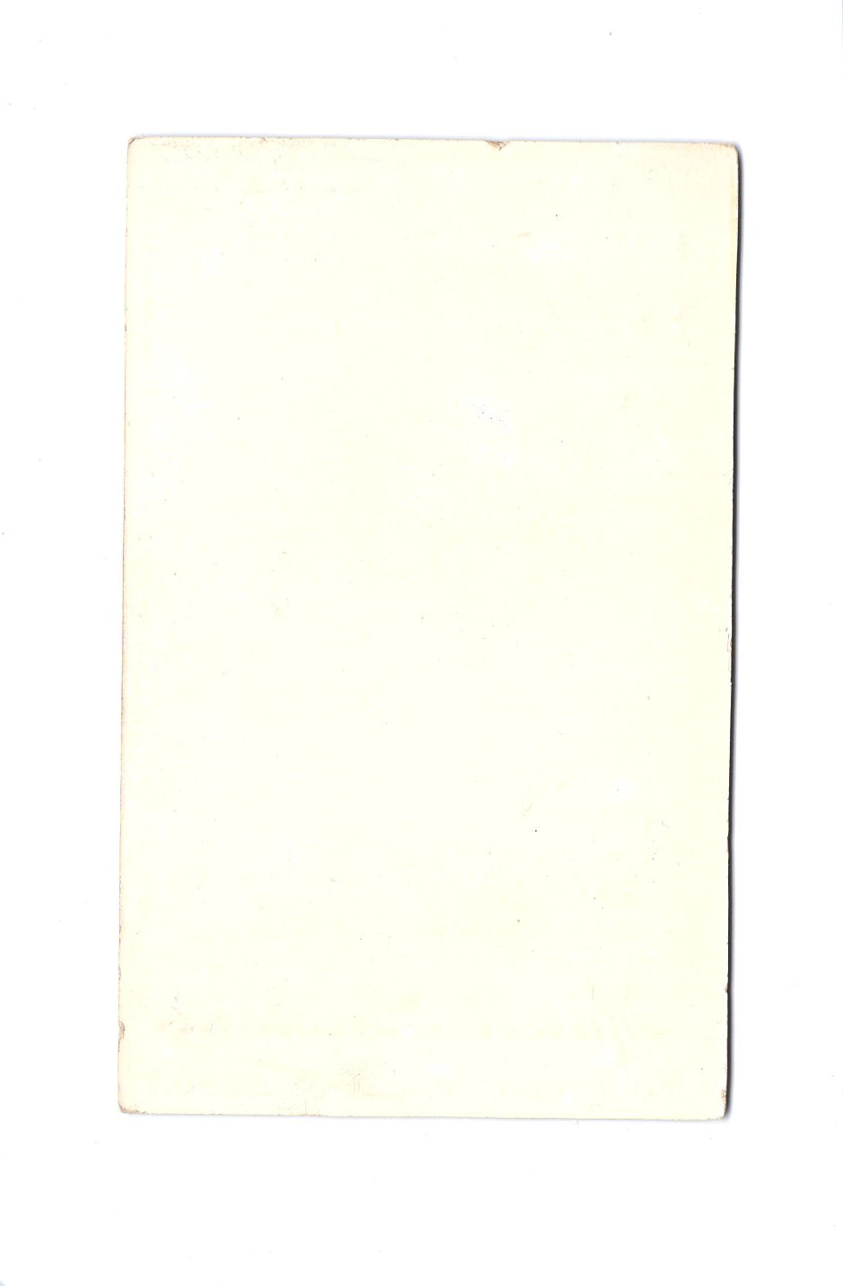 Fotografie Damenportrait - Dison 1890er