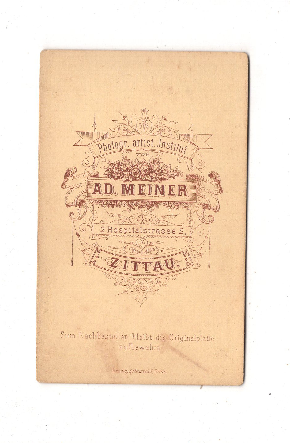 Fotografie Feine Dame - Zittau um 1880 / CDV L1-24