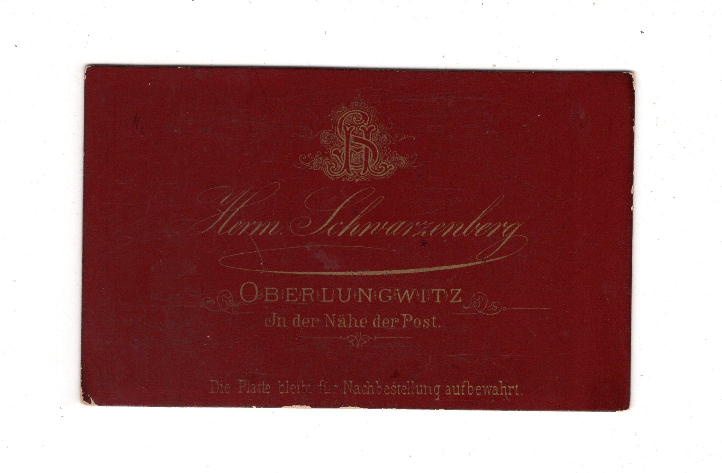 Fotografie Feine Dame - Oberlungwitz 1880er / CDV E1-05