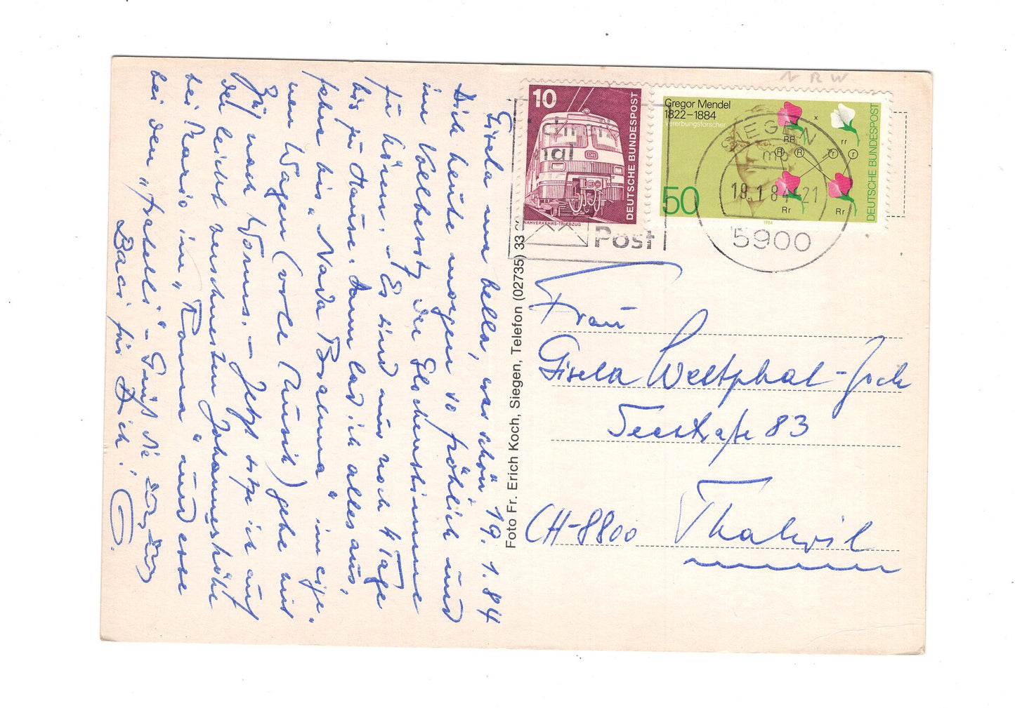 Ansichtskarte Siegen in Westfalen