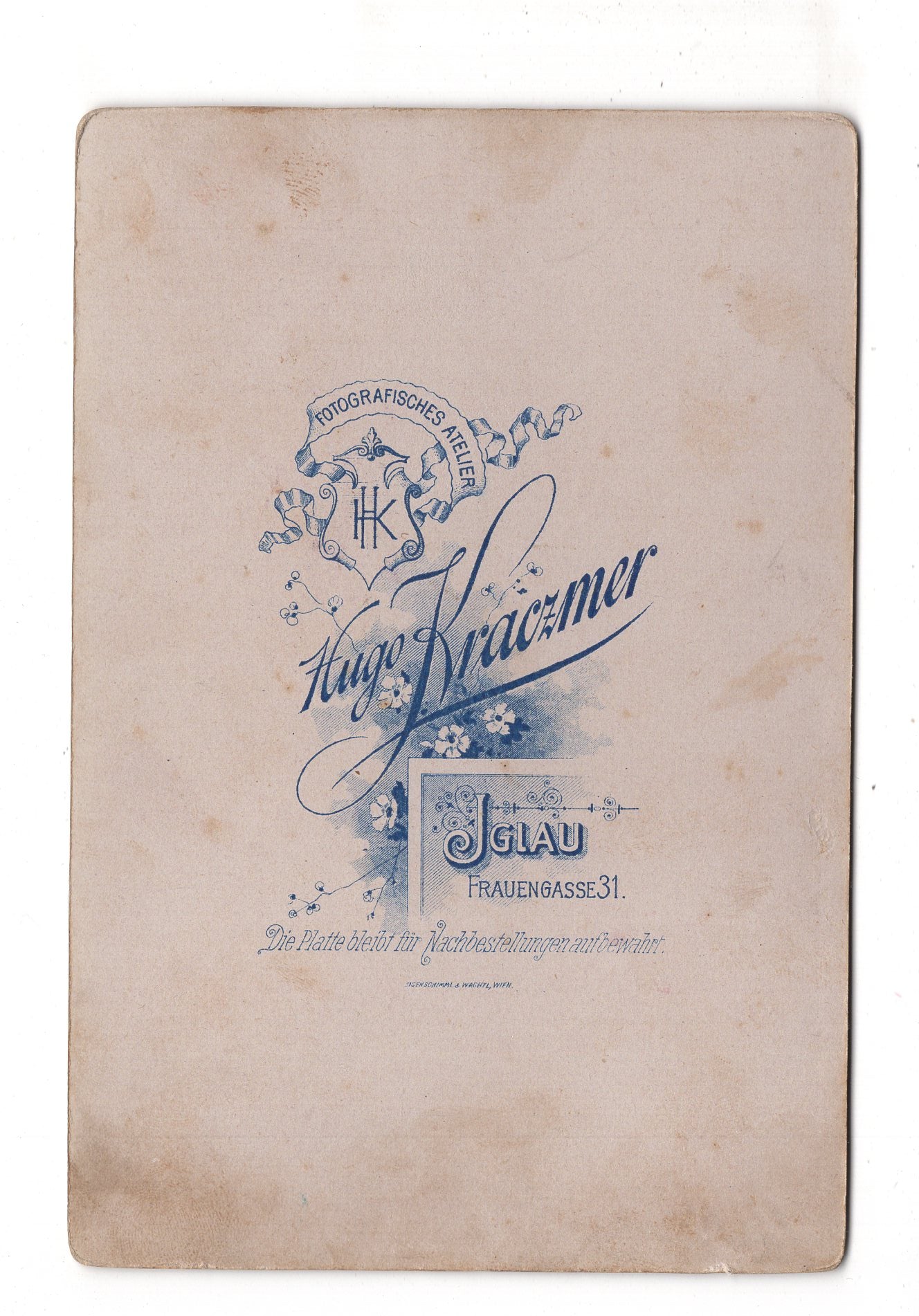 Fotografie Feine Dame - Iglau Jihlava um 1890er / CAB W-23