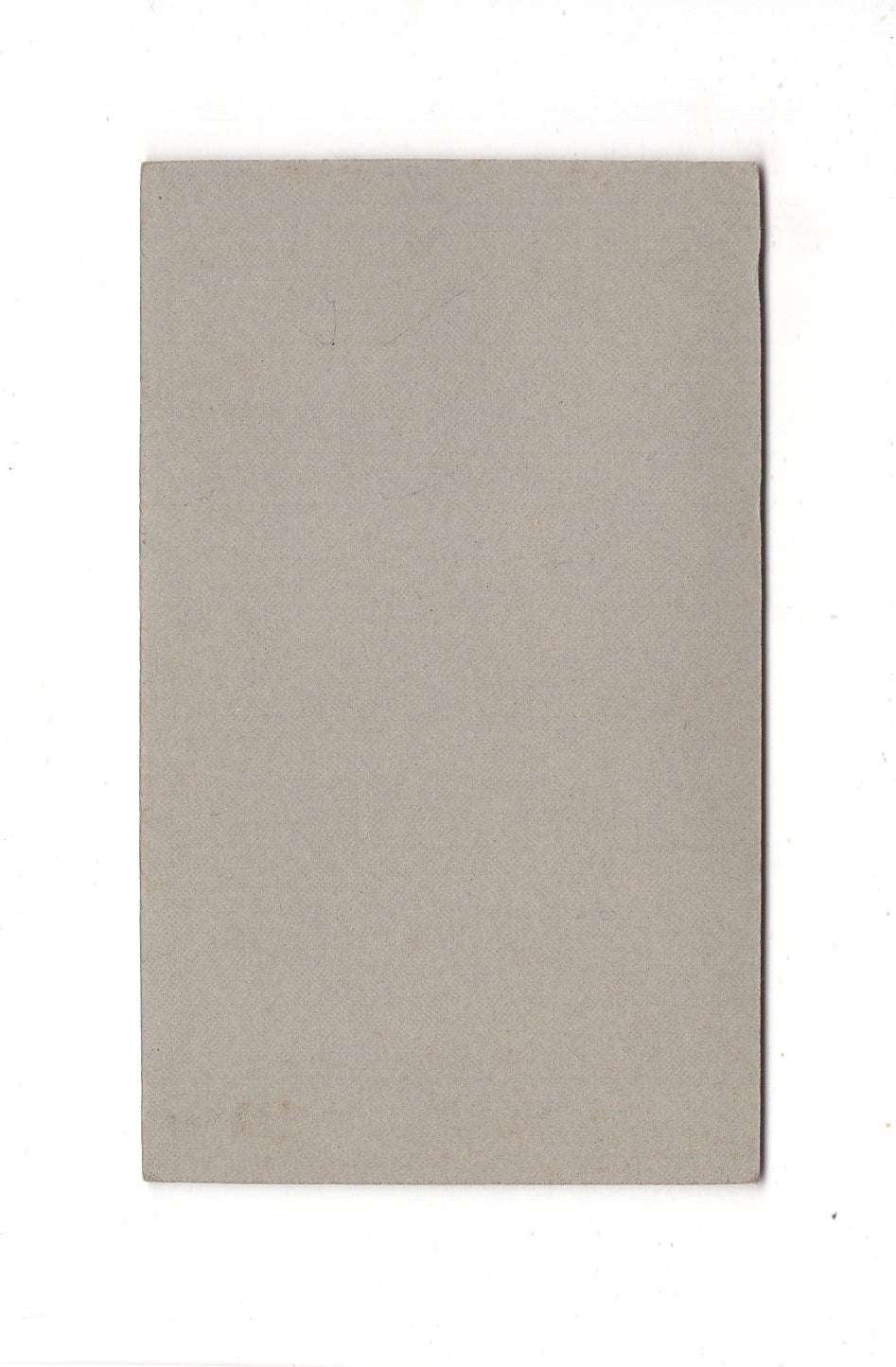 Fotografie Damenportrait - Winsen an der Luhe 1900er / CDV C1-03