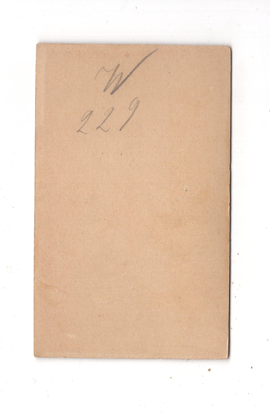 Fotografie Damenportrait - Elberfeld 1890er / CDV N1-14