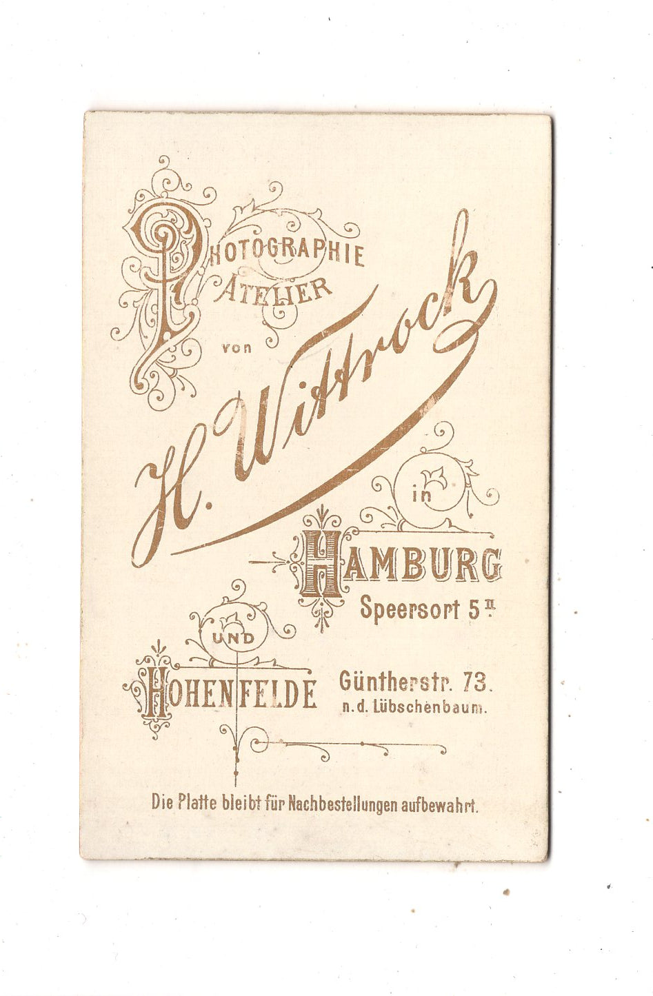 Fotografie Damenportrait - Hamburg um 1890 / CDV N1-14