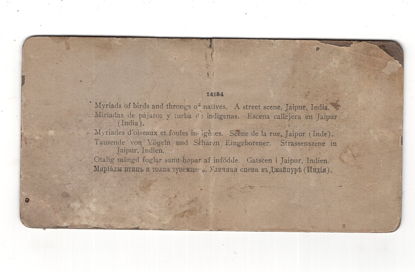 Fotografie Tausende Vögel und Eingeborene / Straßenszene in Jaipur / Indien