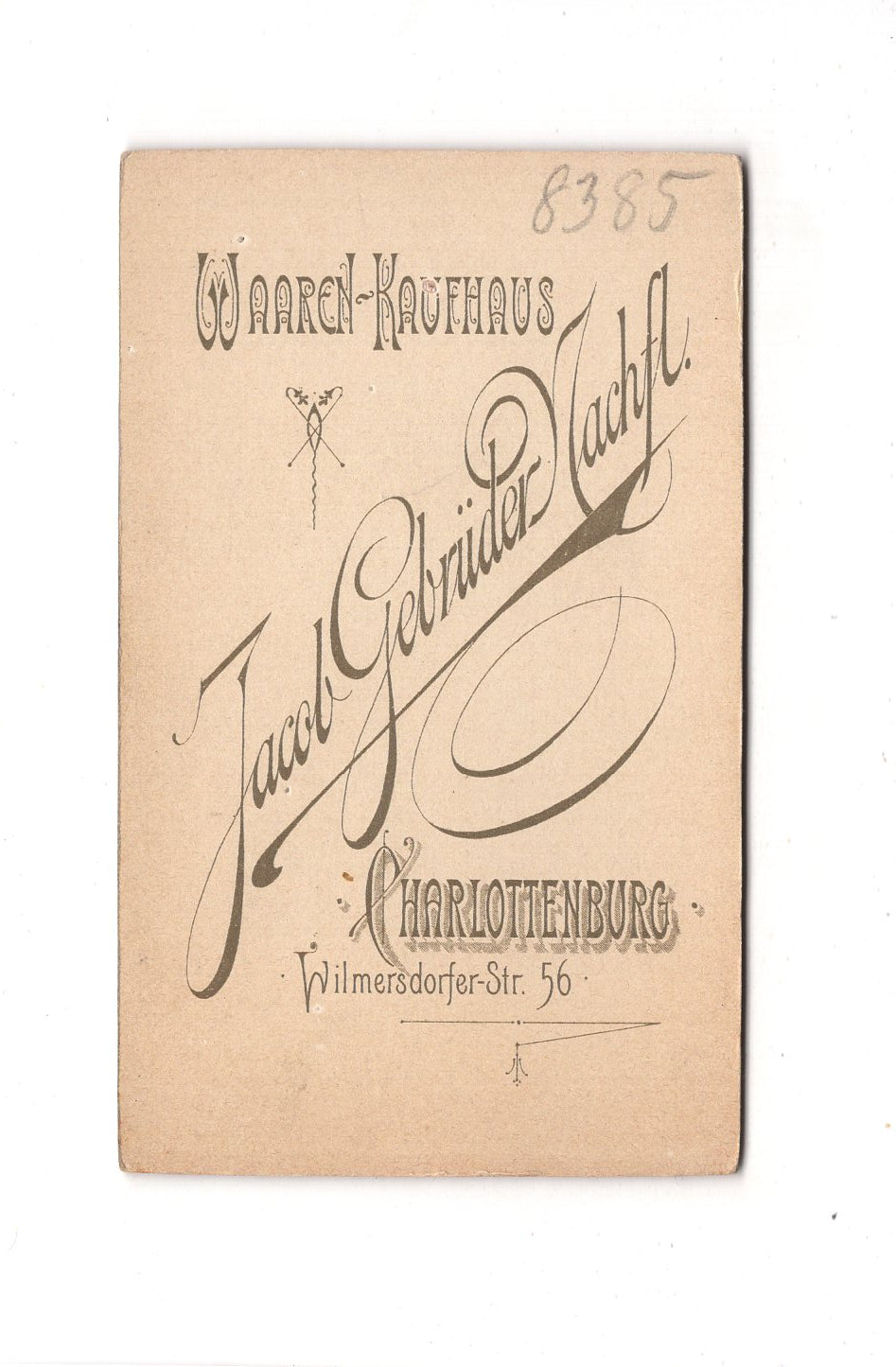 Fotografie Damenportrait - Charlottenburg 1890er / CDV C1-04