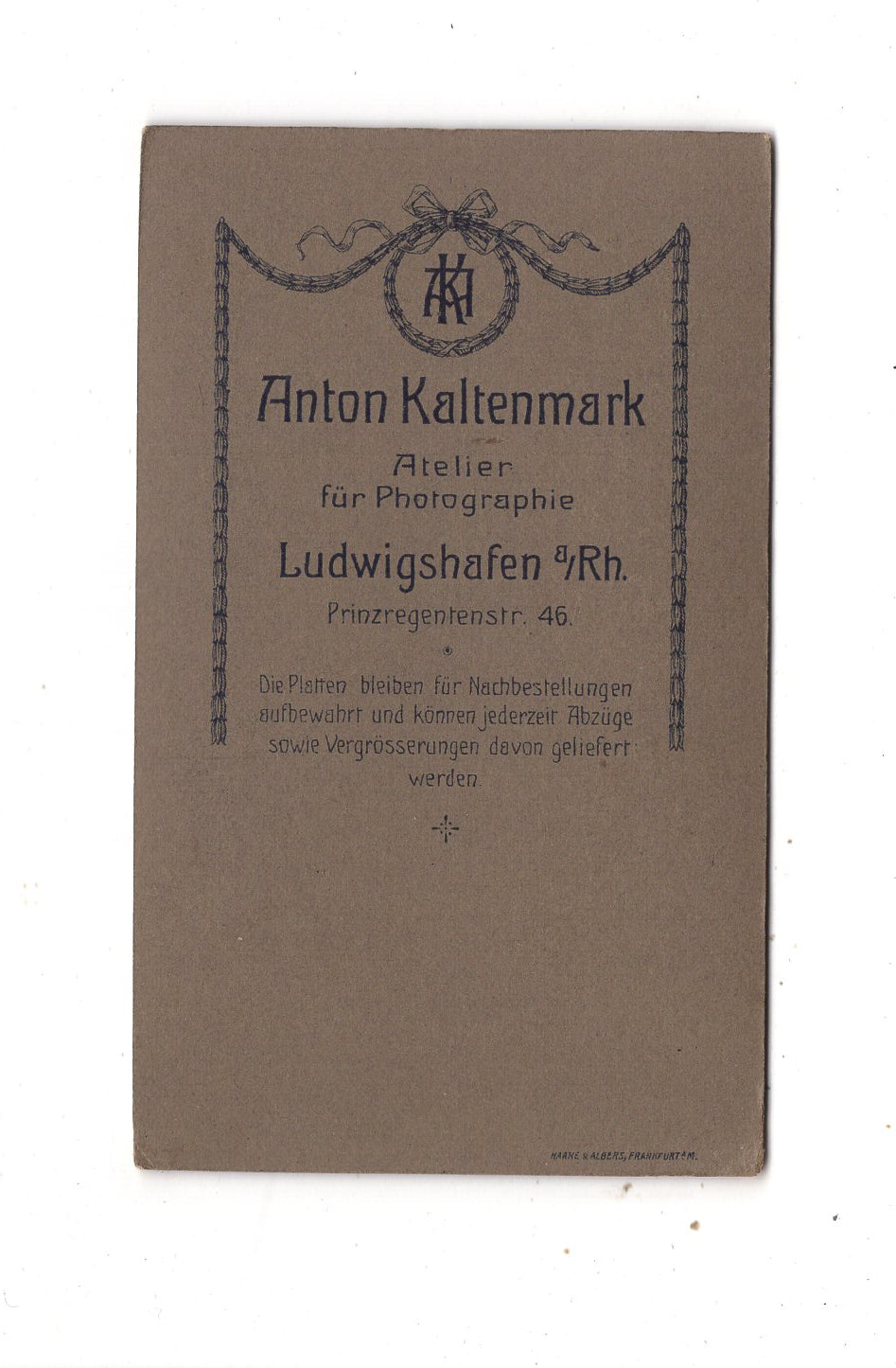 Fotografie Damenportrait - Ludwigshafen um 1900 / CDV N1-14