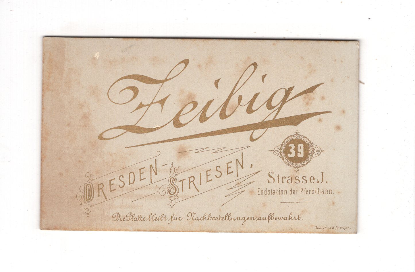Fotografie Feine Dame - Dresden-Striesen 1890er / CDV L1-25