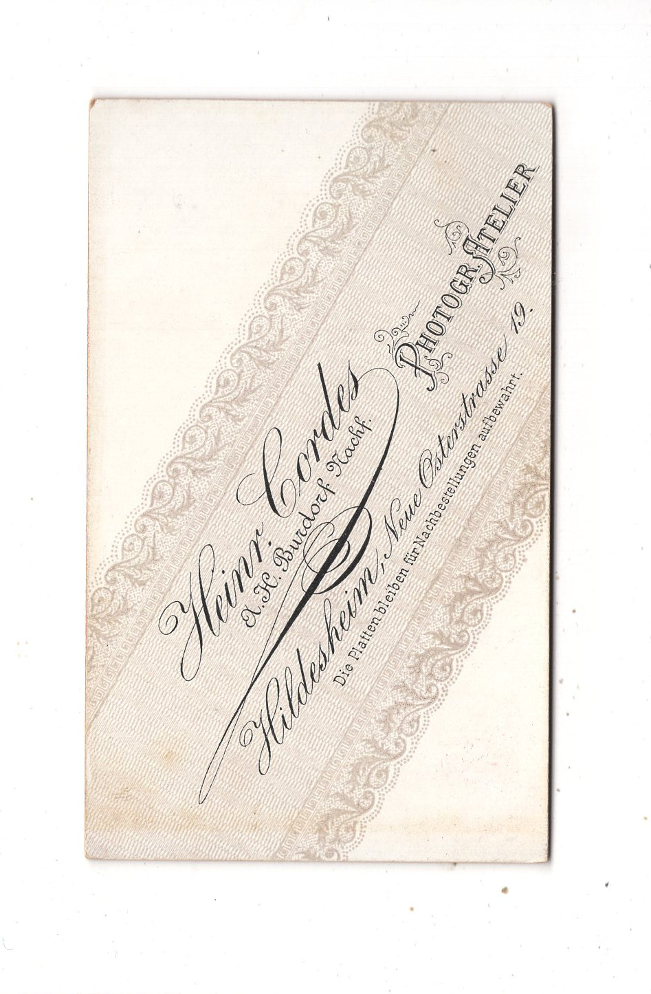 Fotografie Damenportrait - Hildesheim um 1890 / CDV N1-14