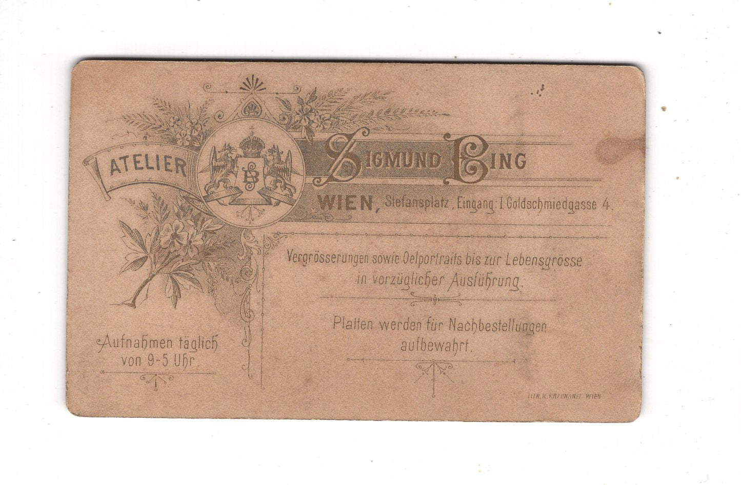 Fotografie Damenportrait - Wien 1890er / CDV N1-14
